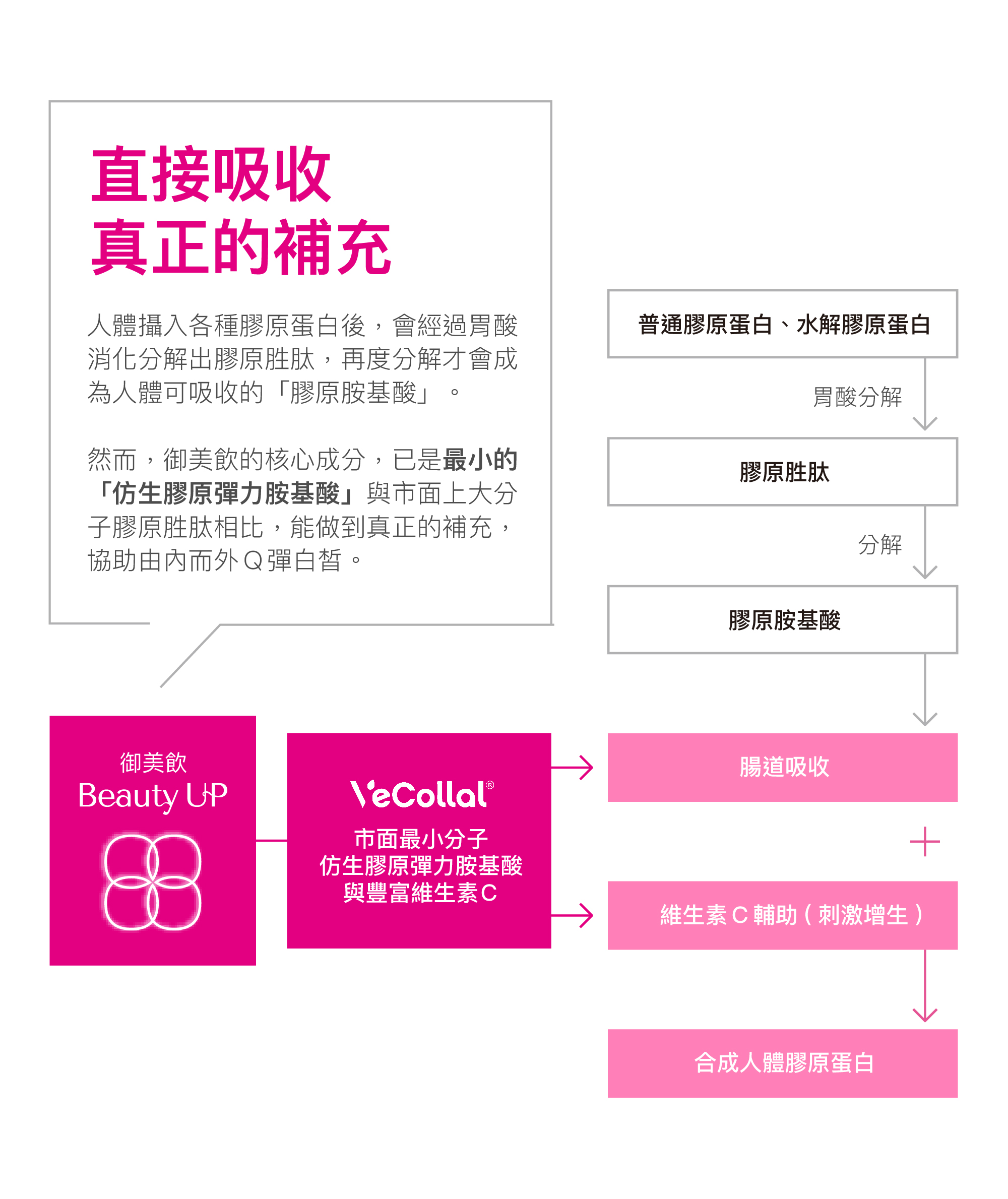 御美飲彈力胺基酸補充品，有著最面最小分子胺基酸和豐富維生素 C，能夠讓人體直接吸收，合成人體膠原蛋白。